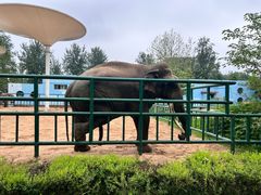 -秦皇岛野生动物园