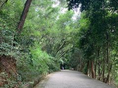 -滴水岩森林公园