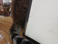 -一品格美术·中考高中成人美术培训