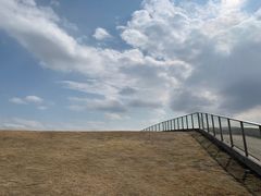 -漩门湾国家湿地公园