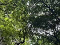 -桂林独秀峰王城景区
