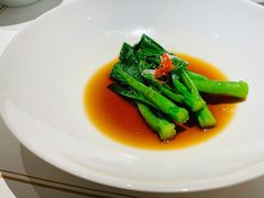广东菜心-觀芷隐轩
