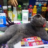北京探店丨京城性价比最高的浙菜馆