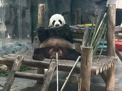 -栾川竹海野生动物园