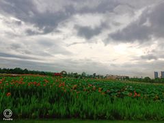 -云洞岩风景区