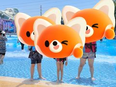 -苏州乐园森林水世界