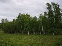 -莫日格勒旅游景区