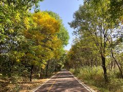 景点-淇河国家湿地公园