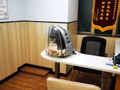 -瑞派紫金宠物医院24小时·骨科·中兽医·重症转诊中心(番禺大石院)