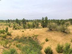 -银肯塔拉沙漠生态旅游景区