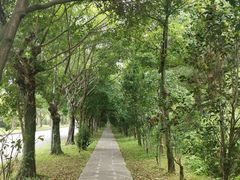 -福建鲤鱼洲酒店