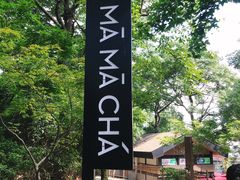 -MAMACHA妈妈茶(岳麓山店)