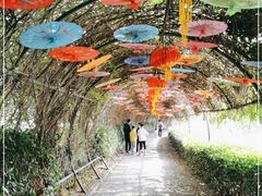 -张公山寨景区