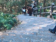 -紫金山天文台