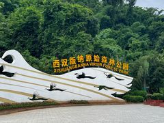-西双版纳原始森林公园