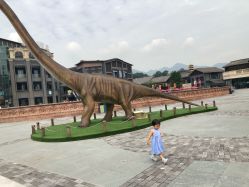 -恐龙探索乐园(磁器口店)