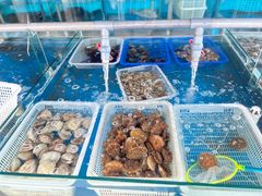 -老太太海鲜城(森林公园任家台店)