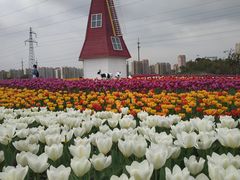 -菊园百果园