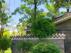 -四海公园(南山区)