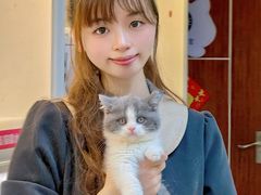 -lincat·猫舍(广州店)
