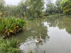 -洛阳市隋唐城遗址植物园
