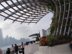 -星光大道