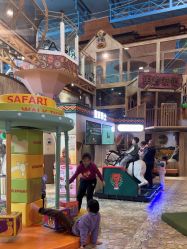 -卡通尼·Safari非洲探索乐园·生日会(金桥国际商业广场店)