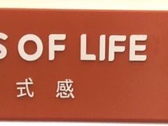 -海马体照相馆(佛山岭南站店)