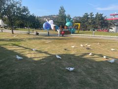 -在海一方公园