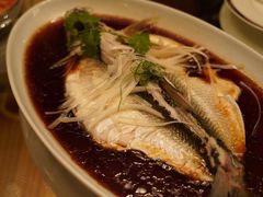 清蒸大朋鱼-宁波柏悦酒店·钱湖渔港