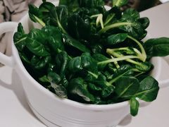 -烹然四季椰子鸡火锅(姚家园万象汇店)