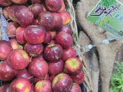 -王婆炒鱼(总店)