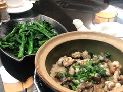 -红星光发煲仔饭(文海店)