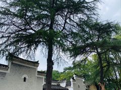 -韶山毛泽东同志故居