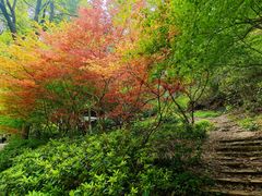 -岳麓山风景名胜区