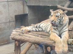 -西安秦岭野生动物园