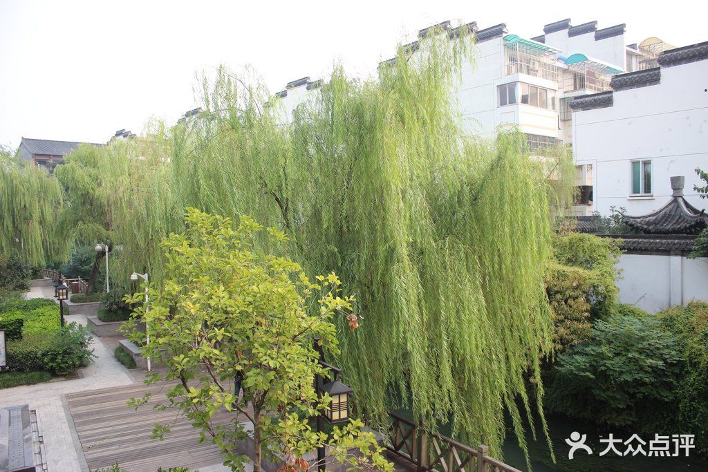 富临壶园-图片-扬州美食-大众点评网