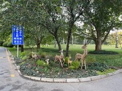 -北京动物园-畅观楼