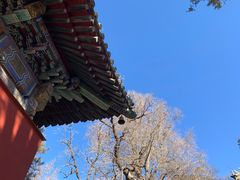 -潭柘寺景区