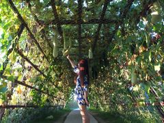 -北纬44度·金珠花海休闲农业旅游景区