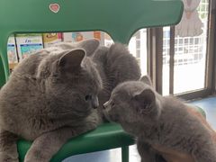 -宠颐生宠物医院外科·内科·皮肤科·影像科(石龙店)