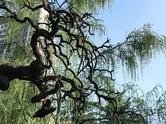 -木塔寺遗址生态公园