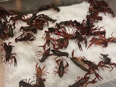 -新希望诺富特酒店-青岛湾中餐厅