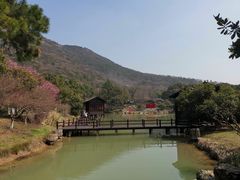 -虞山风景区