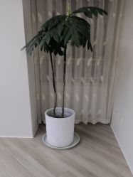 -HEYAN荷妍专业脱毛连锁机构