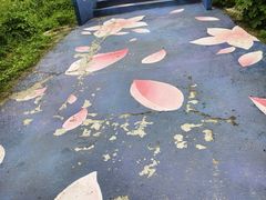 -田园东方蜜桃村的田野营地