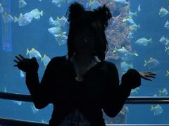 -厦门海底世界