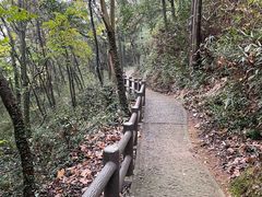 -上海佘山国家森林公园天马山园