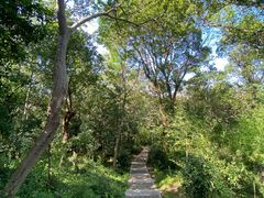 -上海佘山国家森林公园天马山园