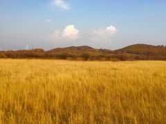 -塞罕坝国家级自然保护区